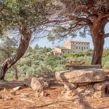 Holiday home Semi-detached Sunny Country House, Near Gr221 Deia
